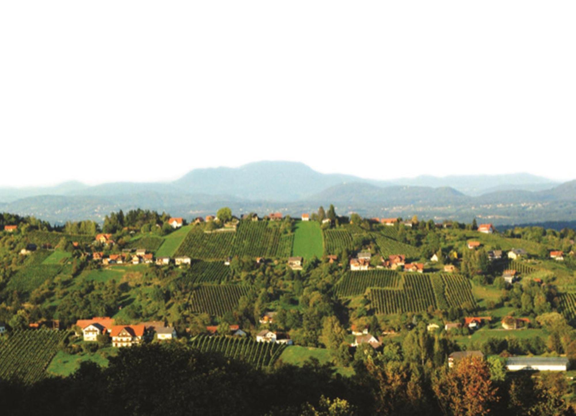 Hotel Stainzerhof Zewnętrze zdjęcie
