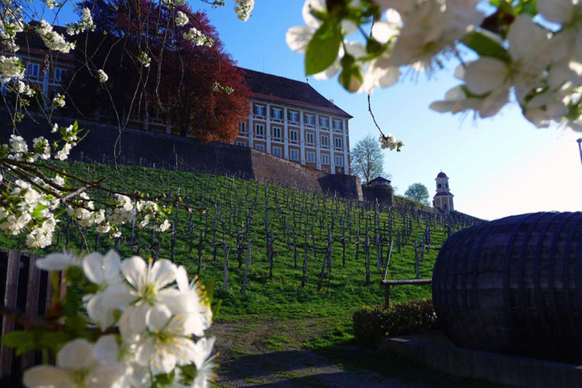 Hotel Stainzerhof Zewnętrze zdjęcie