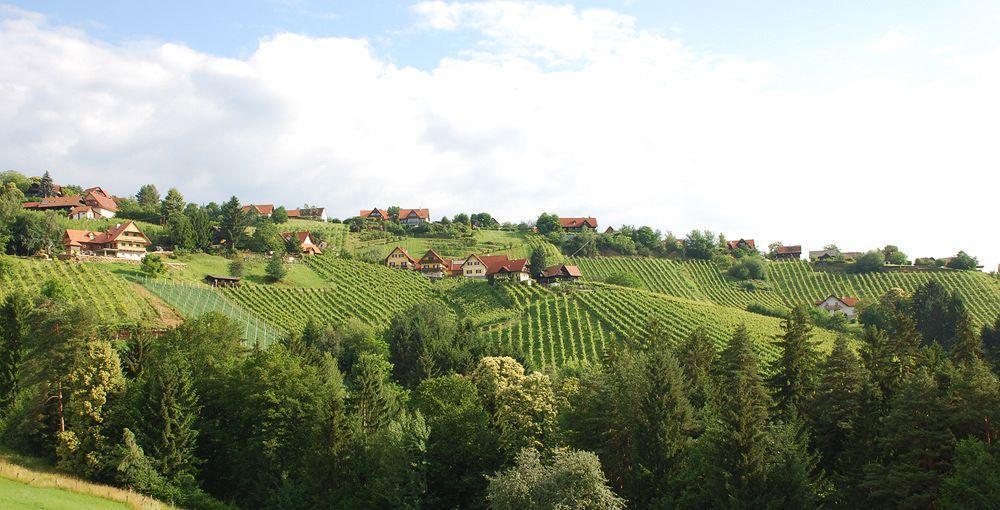 Hotel Stainzerhof Zewnętrze zdjęcie
